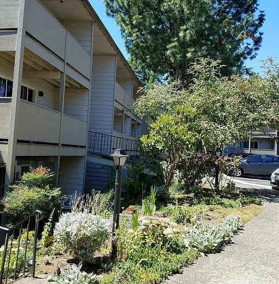 Rochelle Apartments — Photo 15