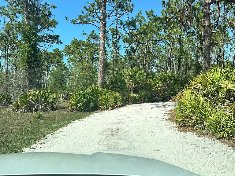 Long Driveway