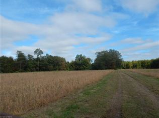 4895 King Graves Rd, Vienna, OH 44473