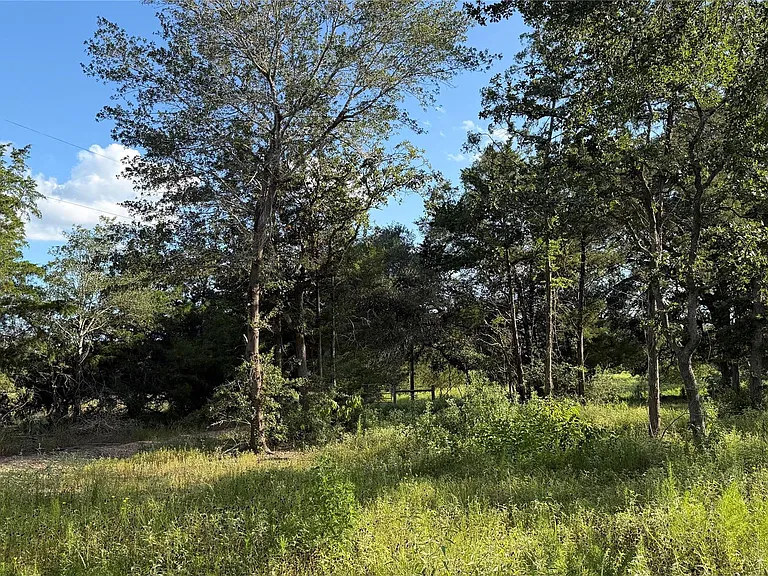 26011 Bernard Rd — Photo 18