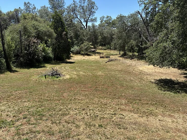 1782 Lotus Rd — Photo 15