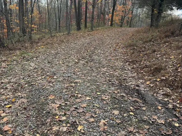 816 Ward Ln, Bethpage, TN 37022