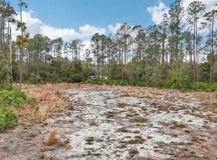 207 Ponderosa Pines Ct, Georgetown, FL 32139