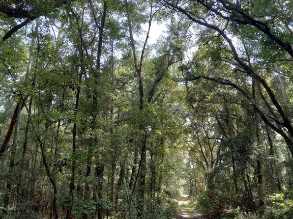 141st Dr, O'Brien, FL 32071