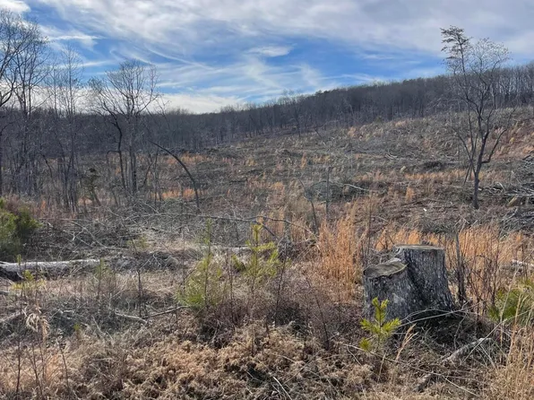 250 Old Cc Rd, Pikeville, TN 37367