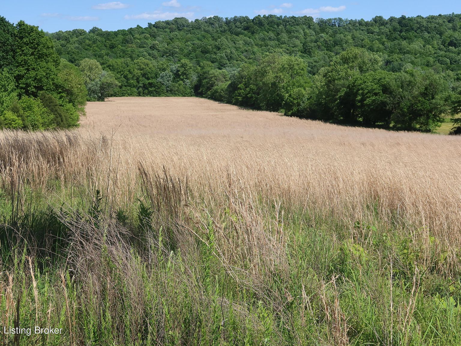 0 Schneider Rd, Falls Of Rough, KY 40119 MLS 1660683 Zillow