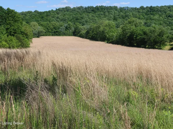 0 Schneider Rd, Falls Of Rough, KY 40119