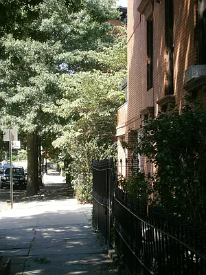 Rented by Realty Collective | media 22