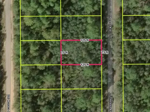 (undisclosed Address), Interlachen, FL 32148