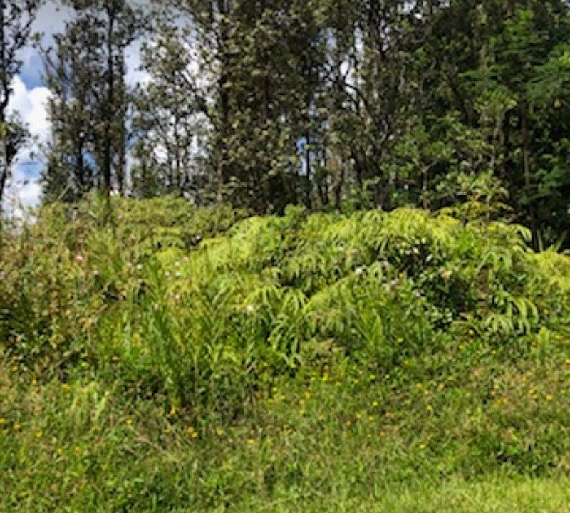 1st image of Bamboo Dr Lot 42