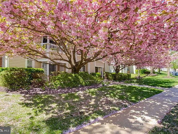 4th image of 41 Wickham Ct #41