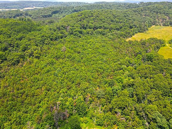 3rd image of 58.87 acres Nash Road