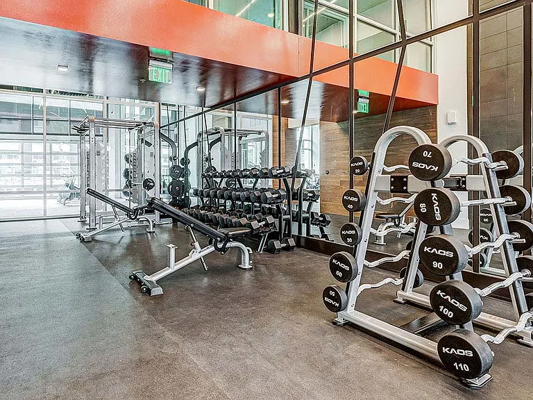 Griffis Platinum Triangle fitness center with weight training equipment.