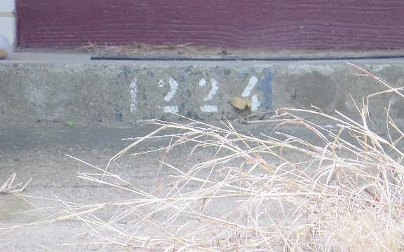 5th image of 1224 Taperwicke Dr