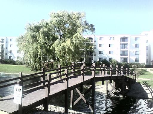 1st image of 350 Plum Creek Dr APT 102