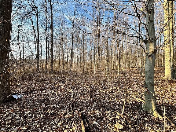 3rd image of 302 State Rte