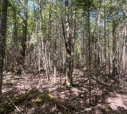 3rd image of E South Caribou Lake Rd