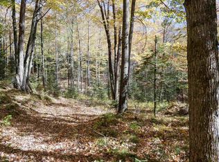 55.55 Acres BRUSH CREEK ROAD, Medford, WI 54451
