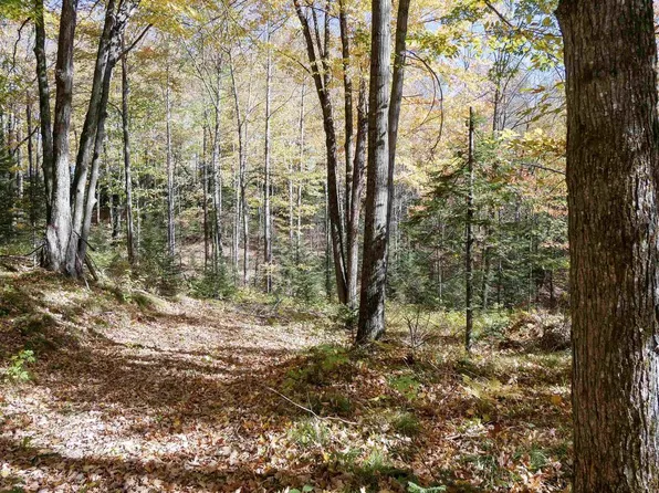 55.55 Acres BRUSH CREEK ROAD, Medford, WI 54451