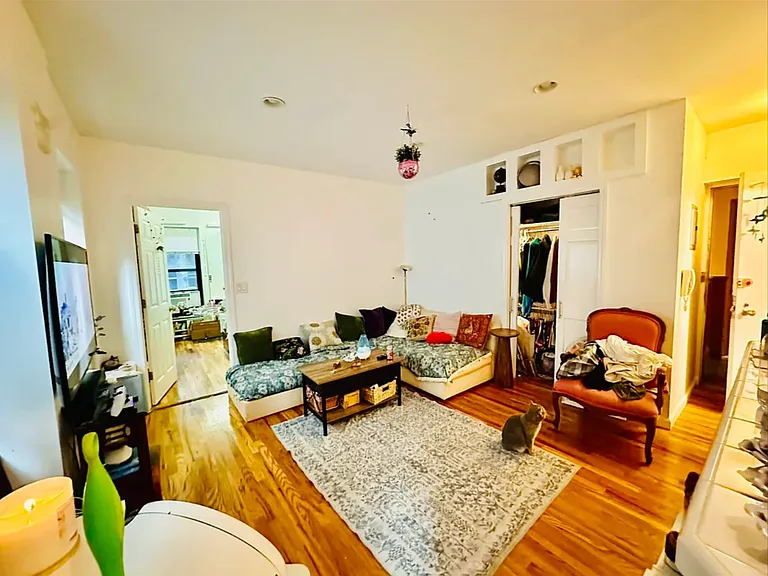 305 E 95th St #3D — Photo 3