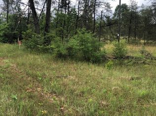 Vl S Forman Rd, Idlewild, MI 49642