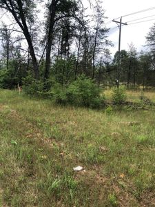 Vl S Forman Rd, Idlewild, MI, 49642