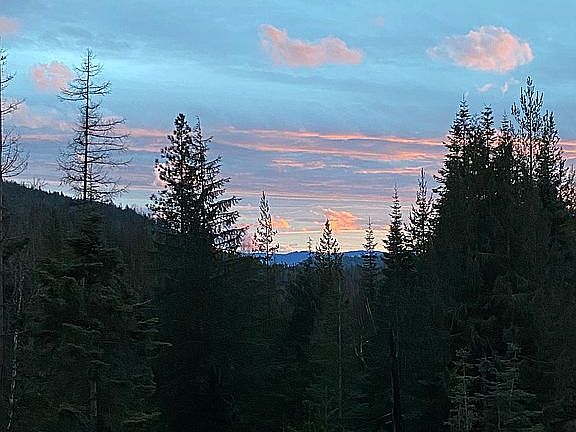 View from porch of home