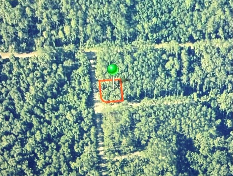 2nd image of 1124 Vercelli Ln