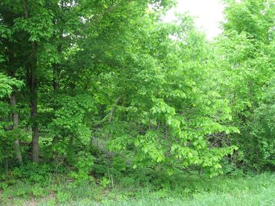 0 Long Lake Rd, Ottertail, MN, 56571