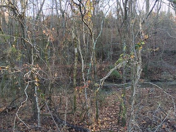 4th image of 0 Bear Creek Pike