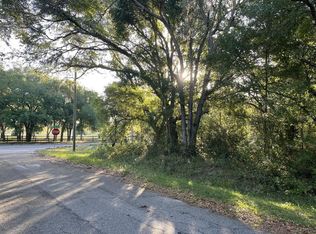 0 Guava Lane Pl #13, Ocklawaha, FL 32179