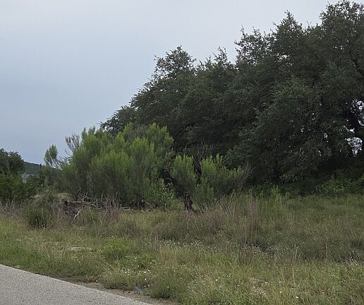 3rd image of 714 Canyon Acres LOT 91-92