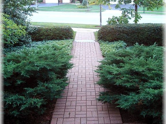Front Walkway
