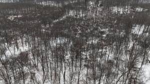 3rd image of 1 Crooked Creek Rd