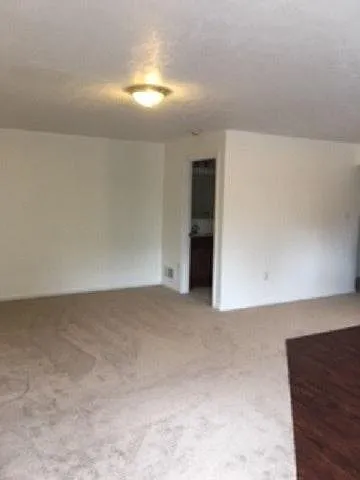 217 Jacks Run Rd #1