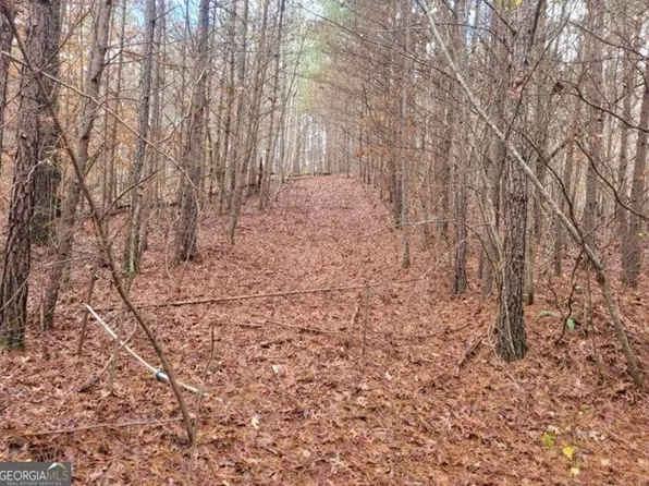 18.22 Talona Rd, Ellijay, GA 30540