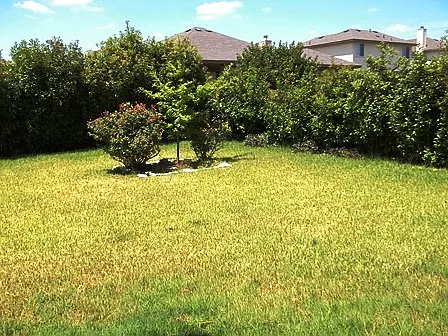 6205 Charlotte Ln — Photo 18