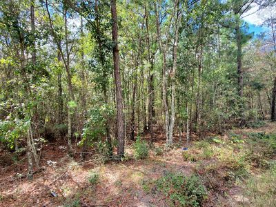 591 Victory Cir, Lyons, GA, 30436