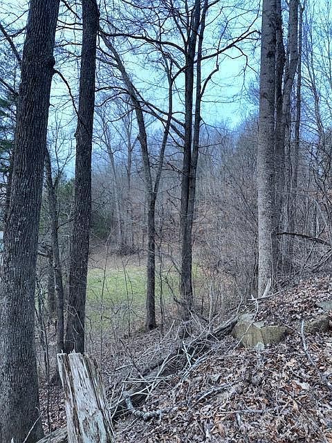 2nd image of King Mountain Rd