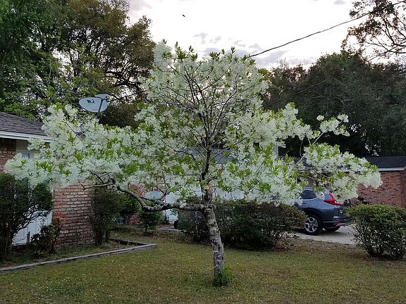 5th image of 6846 Brisas Way