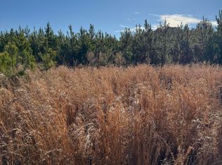 Ulmer Rd, Fairfax, SC 29827