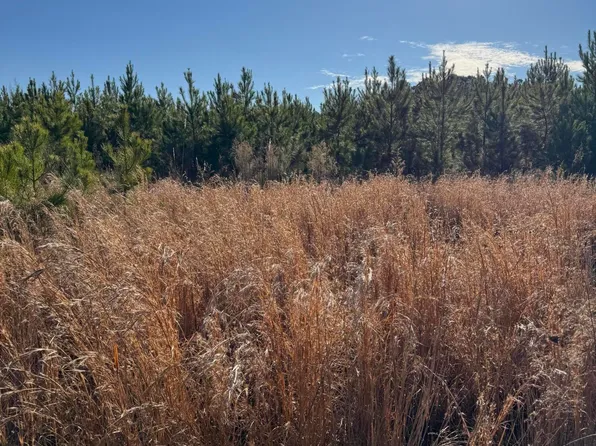 Ulmer Rd, Fairfax, SC 29827