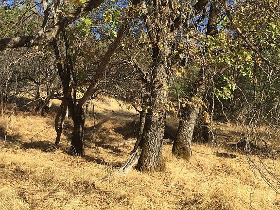 2nd image of Ranch Camp Rd