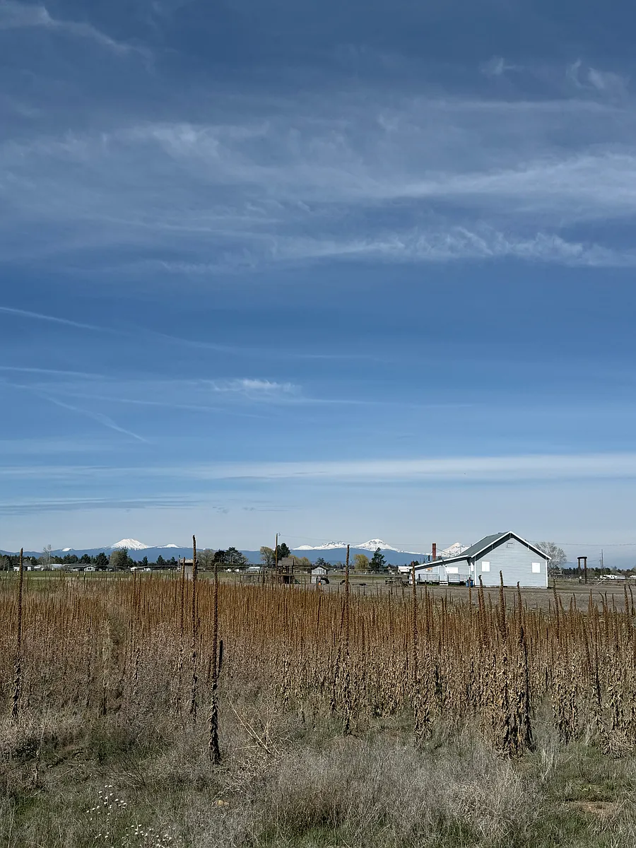 Building Photo - 26159 Willard Rd