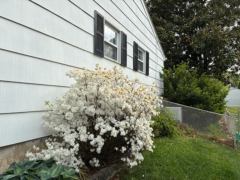 Woodbridge Rd — Photo 17