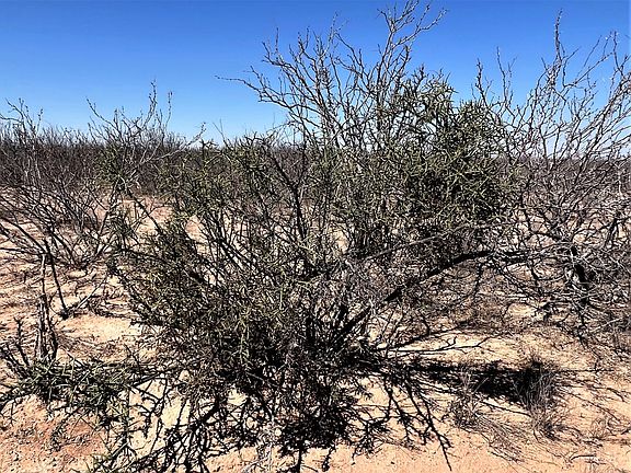 3rd image of 10001 W County Road 75