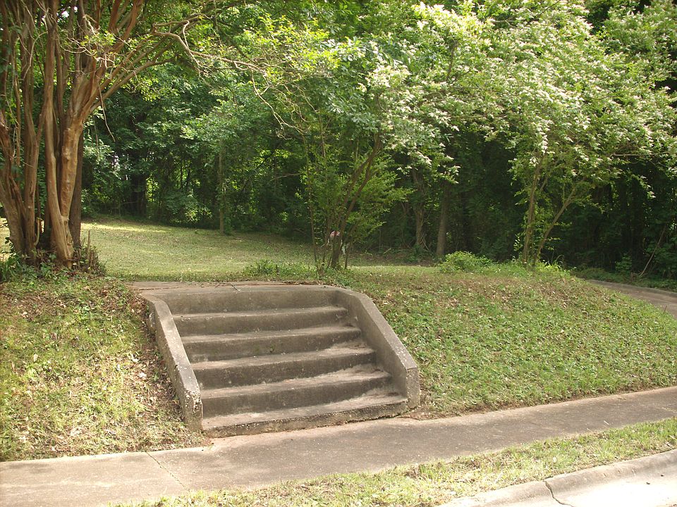 2nd image of 202 Robinson Street