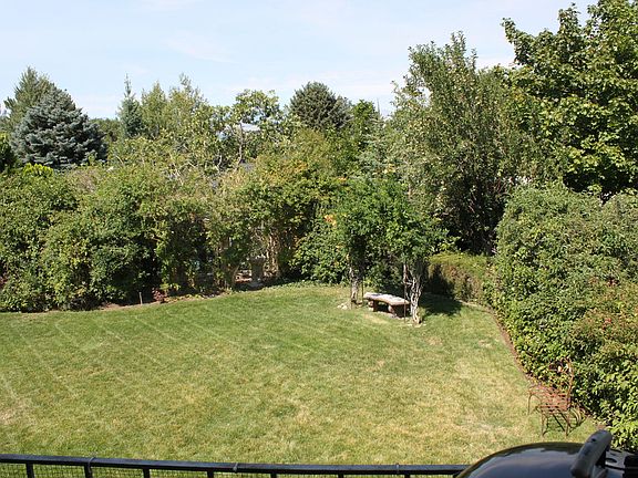 Backyard 2