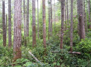 Duckabush Rd, Brinnon, WA 98320