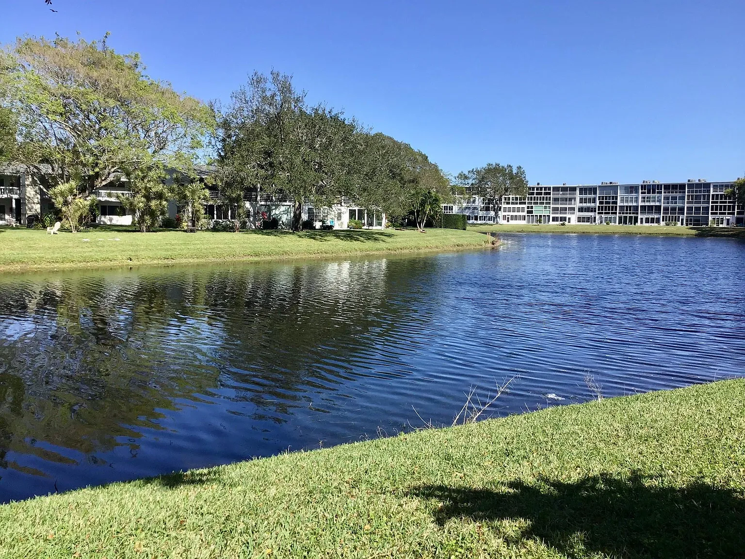 1 bed, 1.5 bath, 700 sqft, $1,350 — Photo 3